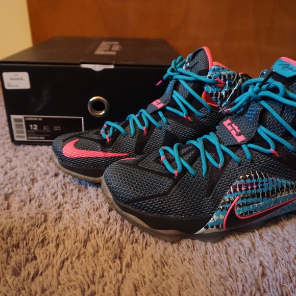 Nike Other - Nike Lebron James XII Hightop Men's Tennis Shoes